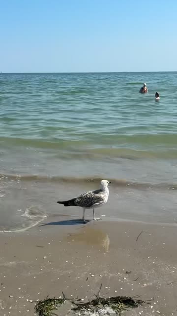 Meer und Strand